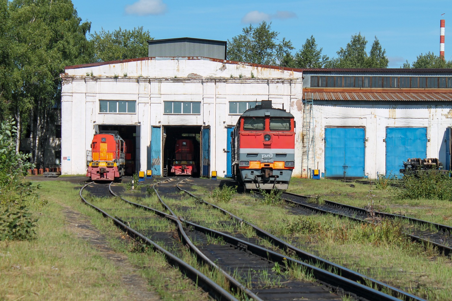ТЭМ18ДМ-490; 2ТЭ116-1224