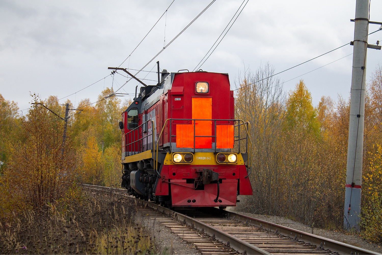 ТЭМ18ДМ-490