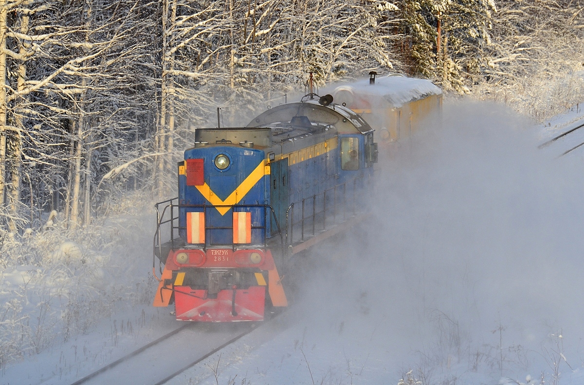 ТЭМ2-2831