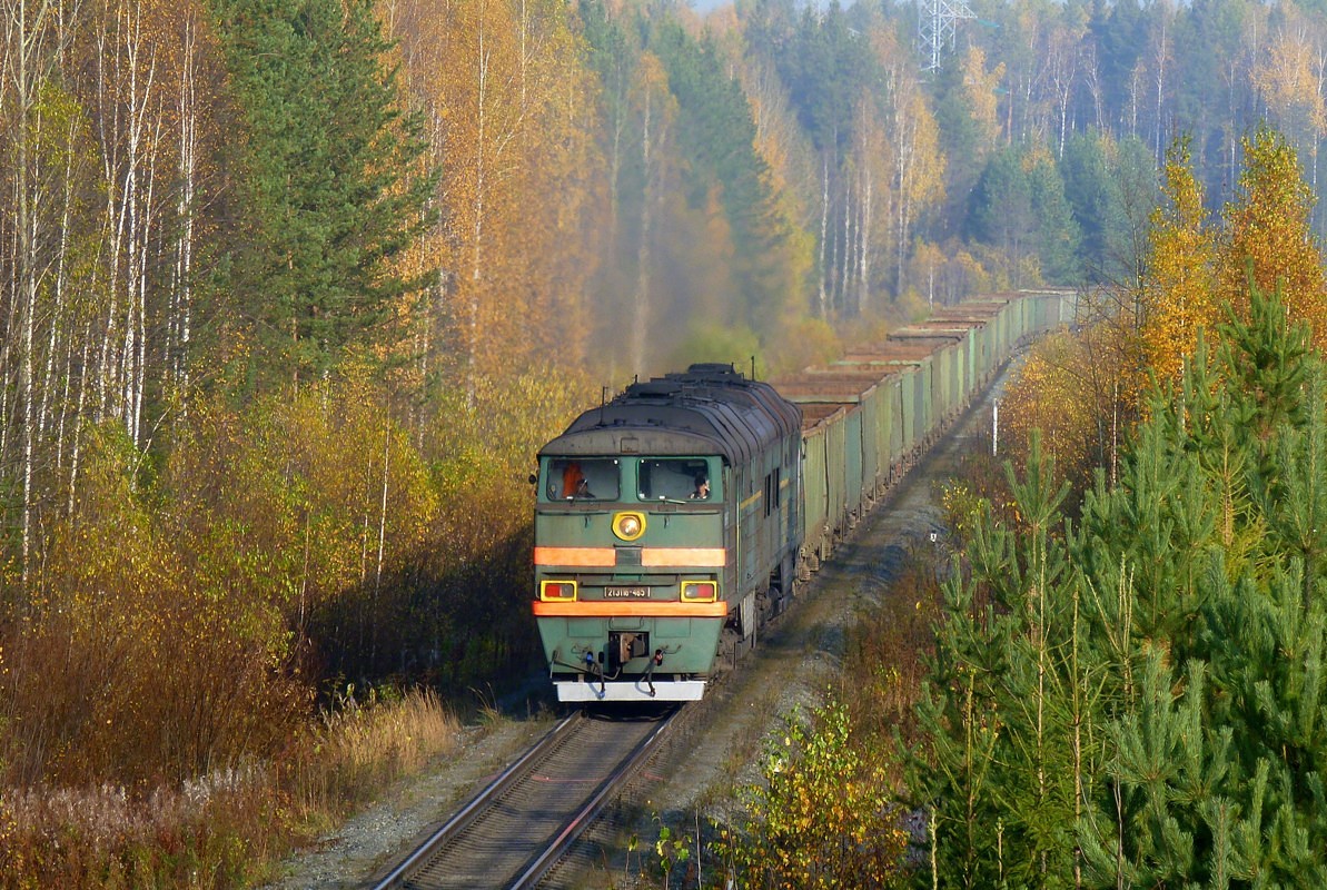 2ТЭ116-485