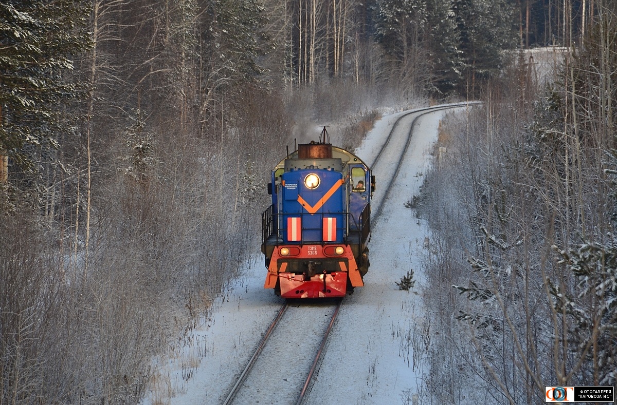 ТЭМ2-5365