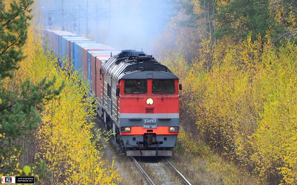 2ТЭ116-1429