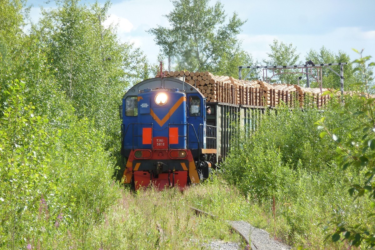 ТЭМ2-5838