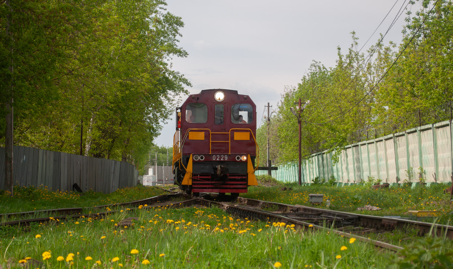 ТГМ6В-0229