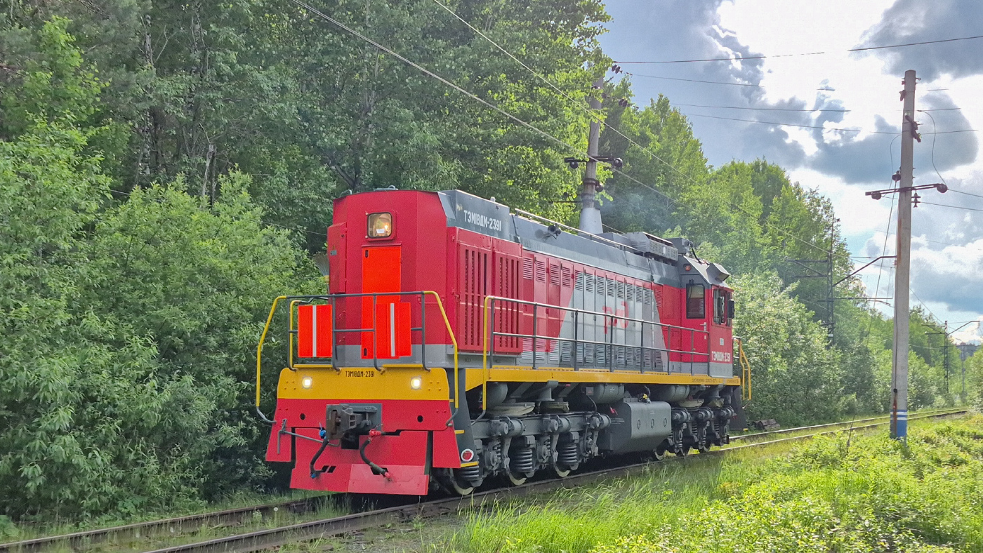 ТЭМ18ДМ-2391