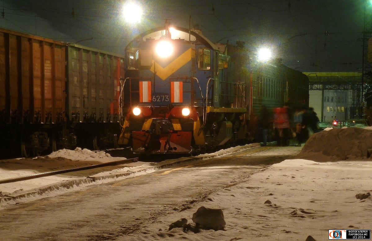 ТЭМ2-6273
