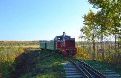 594 КБ