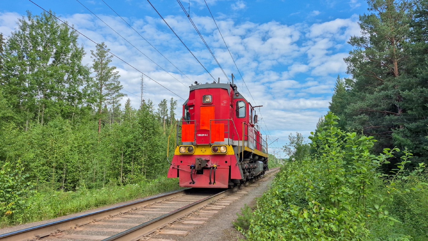 ТЭМ18ДМ-642