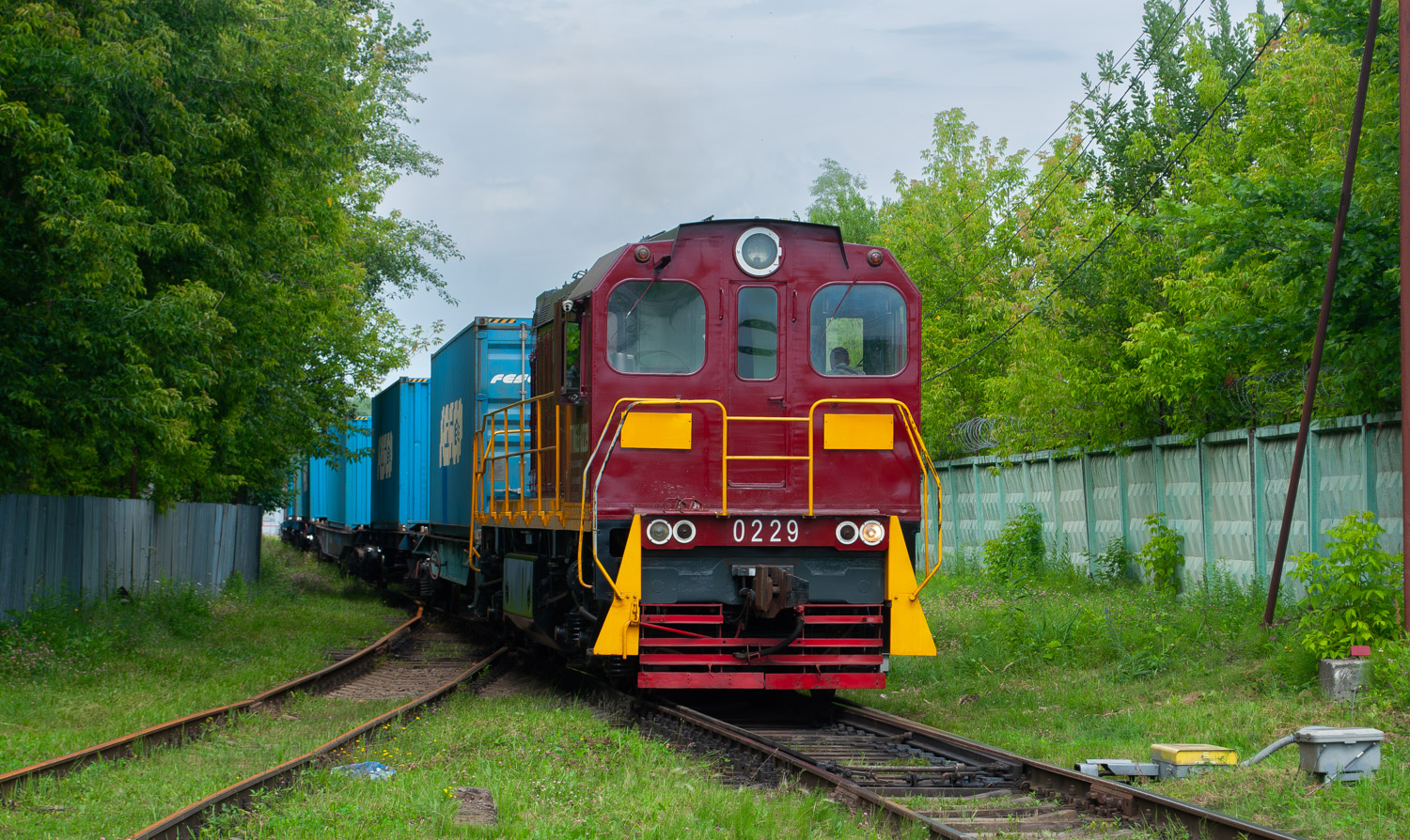 ТГМ6В-0229