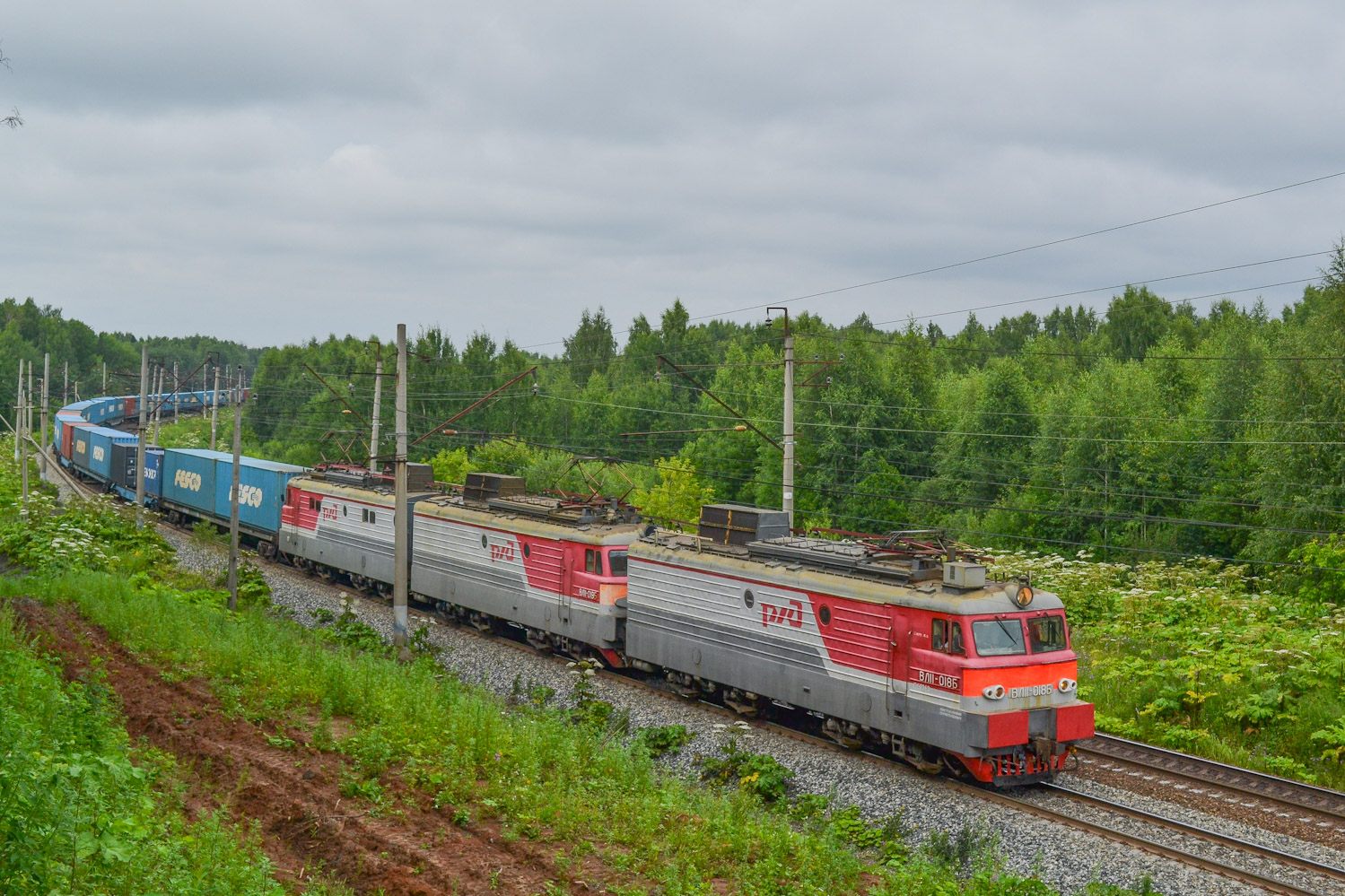 ВЛ11-018; ВЛ11-019