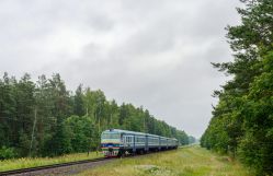 598 КБ