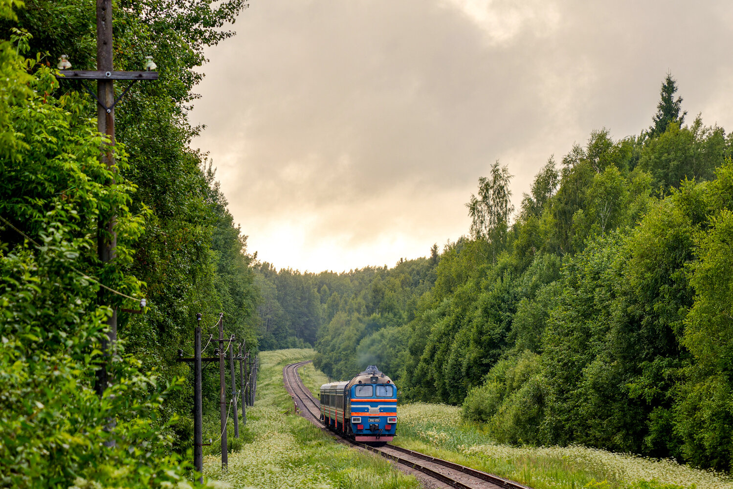 2М62-1229; ДРБ1-066