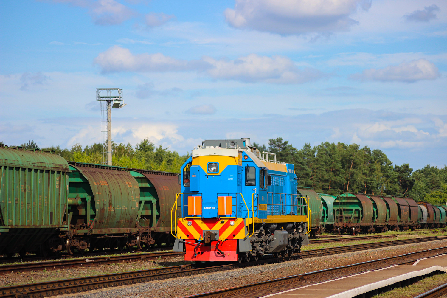 ТЭМ18ДМ-3619