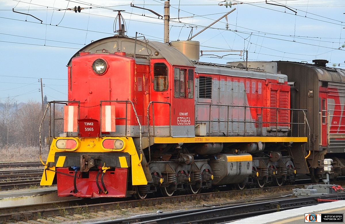 ТЭМ2-5965
